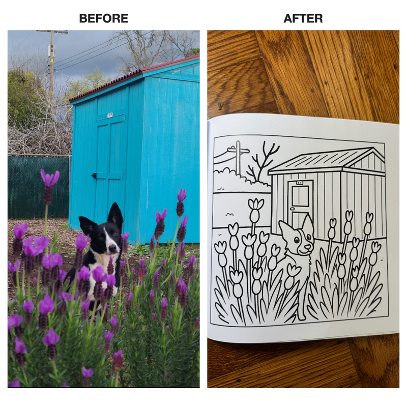 


Before and after comparison of a dog in a garden with a blue shed and a black and white line drawing of the same scene.